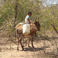 Niño de la Guajira